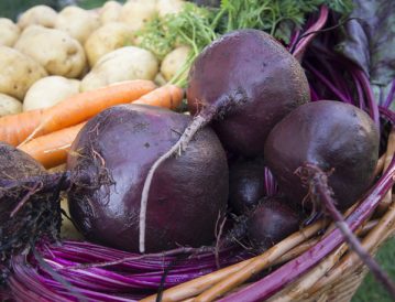 Preserves Garden Vegetables by Sharing Surplus Image